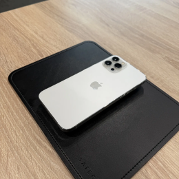Apple iPhone 12 Pro Max 256Gb Silver(Серебристый)