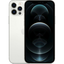 Apple iPhone 12 Pro Max 128Gb Silver(Серебристый)