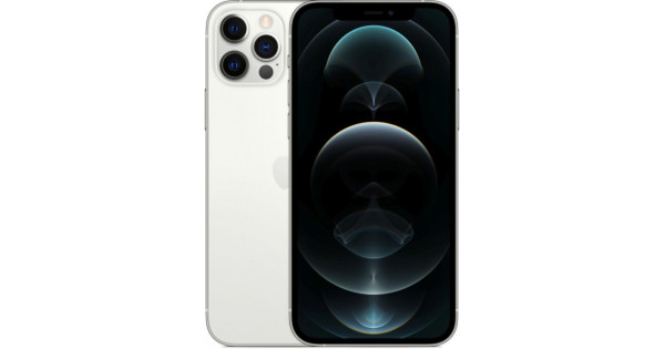 Apple iPhone 12 Pro Max 256Gb Silver(Серебристый) купить в